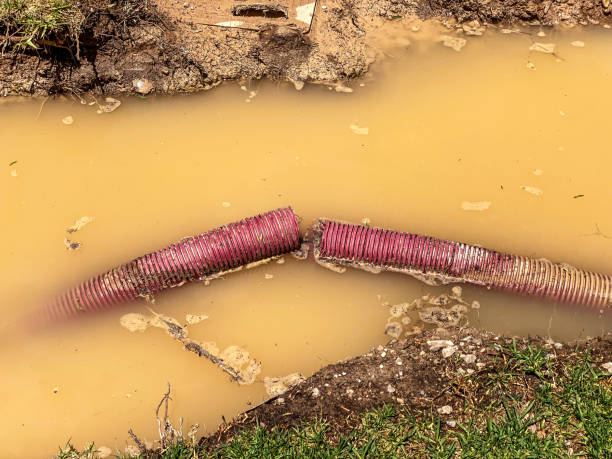 Reliable Bishop, TX Water damage restoration Solutions